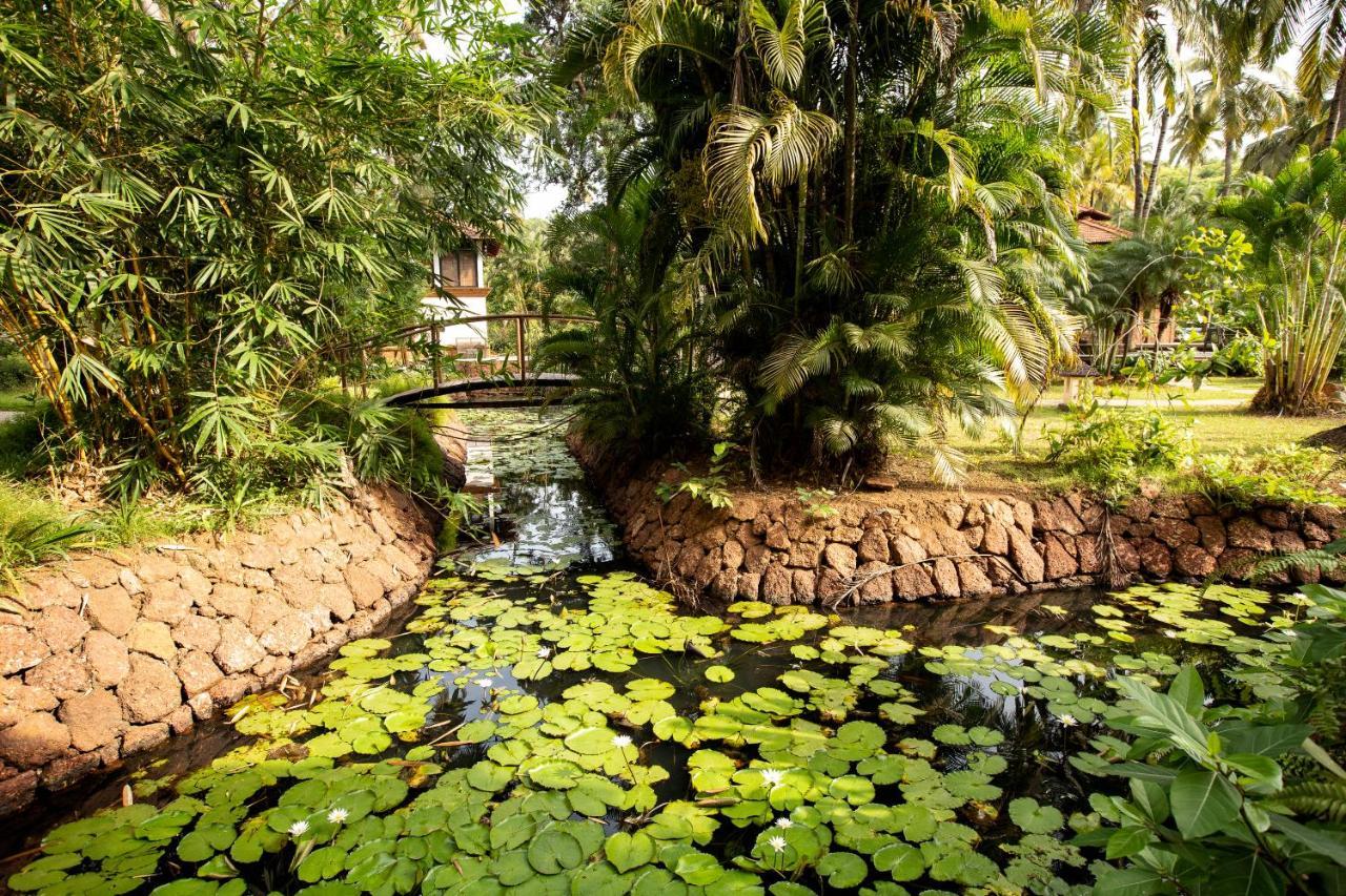 Coconut Creek Resort - Dabolim Airport Mormugao Bagian luar foto